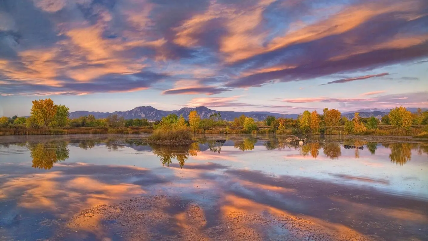 可靠性智慧